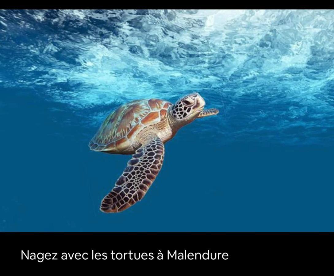 Gite Ti Papiyon Bouillante Exteriér fotografie